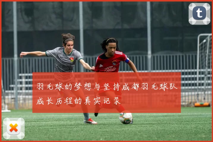 羽毛球的梦想与坚持成都羽毛球队成长历程的真实记录