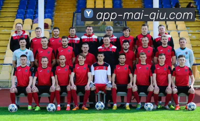 买球官网平台生态图