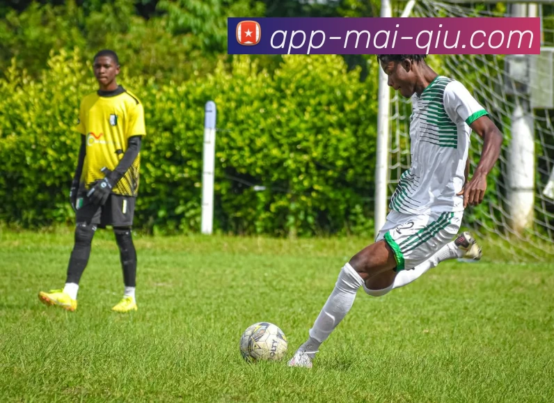 买球官网全站App